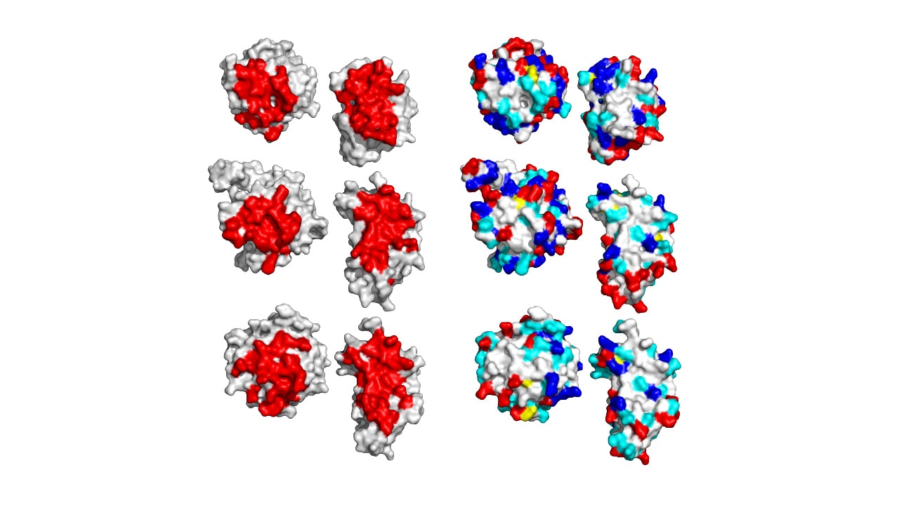 Structural Approach to Ribosome Biogenesis